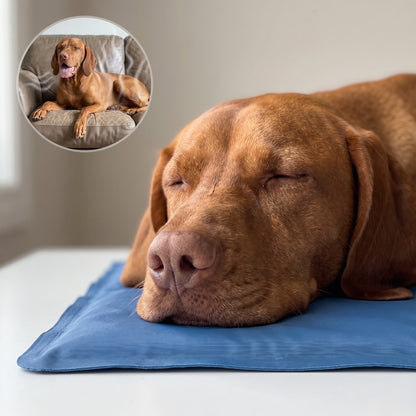 Eversoft Pet Cooling Mat®
