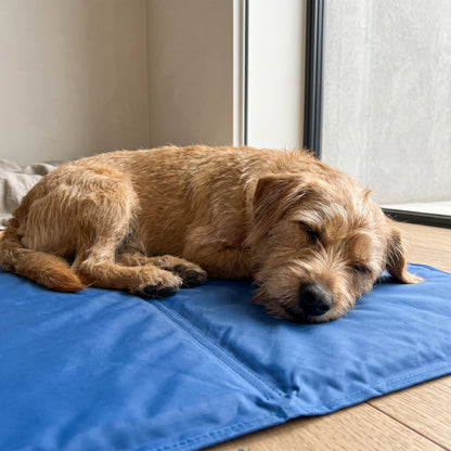 Eversoft Pet Cooling Mat®